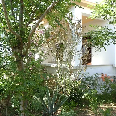 Apartments Kresimir Beauty With Shadow Trees And Parking Place Pag Town Habitación foto