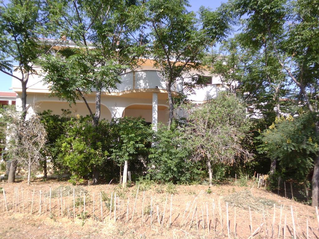 Kresimir Beauty With Shadow Trees And Parking Place Pag Town