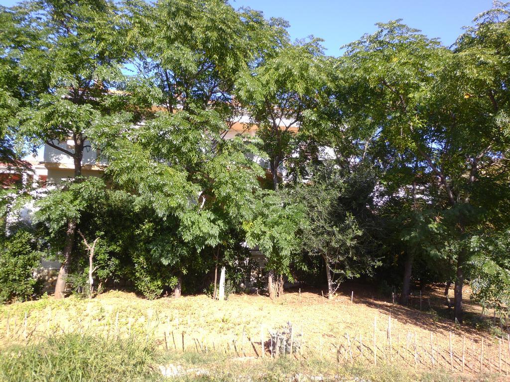 Apartment Kresimir Beauty With Shadow Trees And Parking Place Pag Town